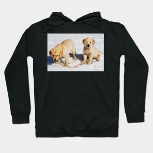 "Golden Retriever Puppies First Winter" Hoodie